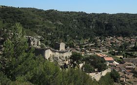 Les lavandes de Sèverine